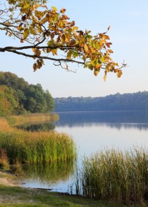 Wielkopolska Wielkopolska