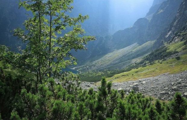 Tatry 111 Tatry 111