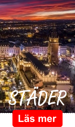 stader.png