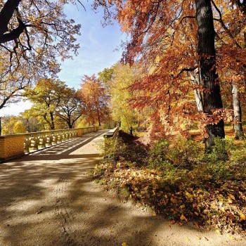 Mużakowski Park